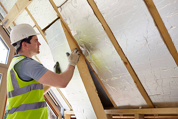 Best Specialty Insulation in Vamo, FL