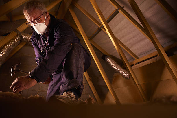 Best Insulation for Specific Applications in Vamo, FL