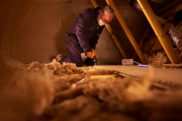 Best Insulation Maintenance and Repair in Vamo, FL