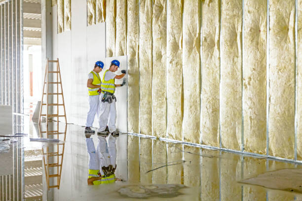 Best Commercial Insulation in Vamo, FL